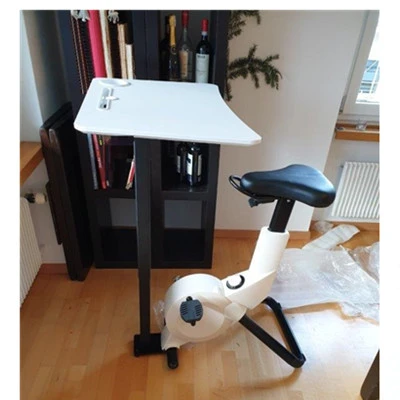 home fitness spin bike
